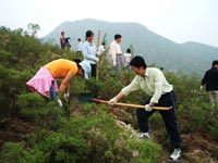 東芝(中國(guó))2007年度公益植樹(shù)助學(xué)活動(dòng)