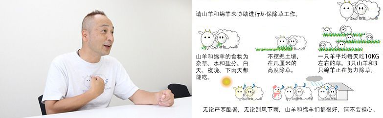 為了加深大家對(duì)“山羊和綿羊除草”的理解，制作Ｔ恤衫和看板。